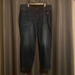 Lane Bryant Jean great condition